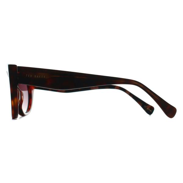 Ted Baker Sunglasses TB1737 100 Tortoise Brown Gradient