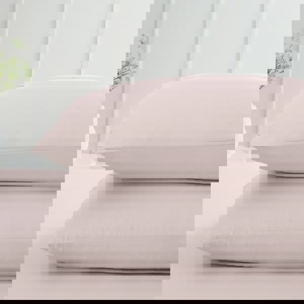 Bianca 200 Thread Count Cotton Percale Standard Pillowcase Pair