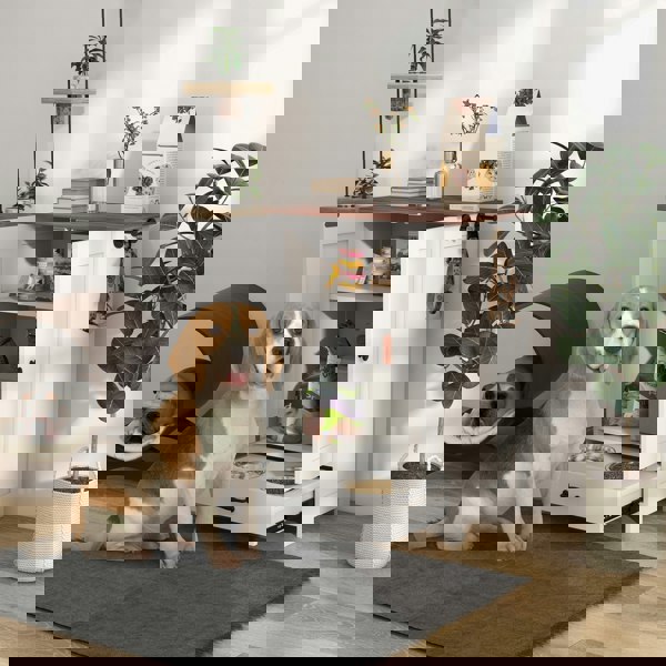 D08-059V00WT