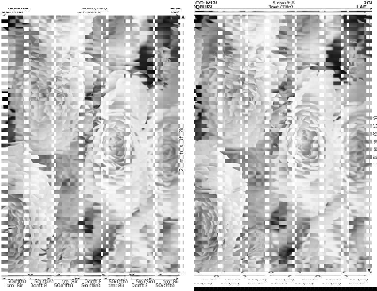 Origin Murals Petals Wall Mural - Dove Grey