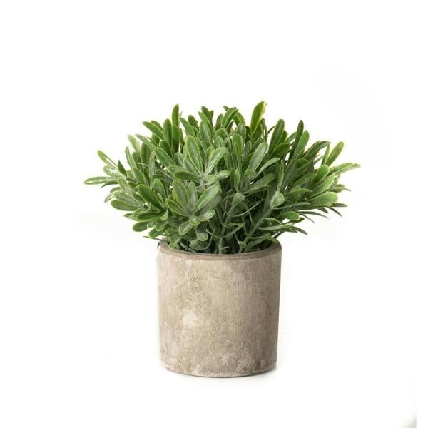 Hill Interiors Buxus Artificial Plant - Green - 