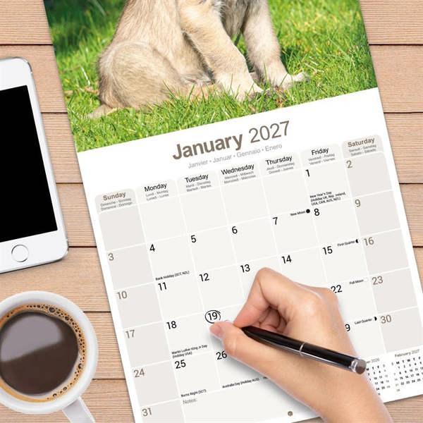 Irish Wolfhound Calendar 2027, Wall Calendars, Month To View, Dogs, Gift