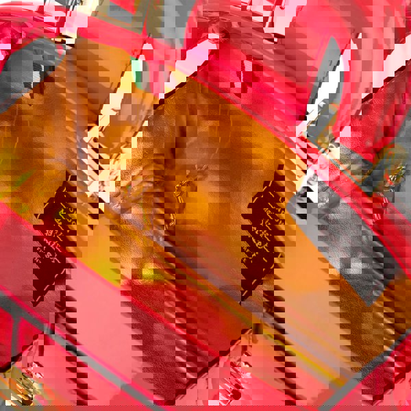 Embassy London Gazelle Mini - Hot Pink - Women’s mini leather top handle & crossbody bag