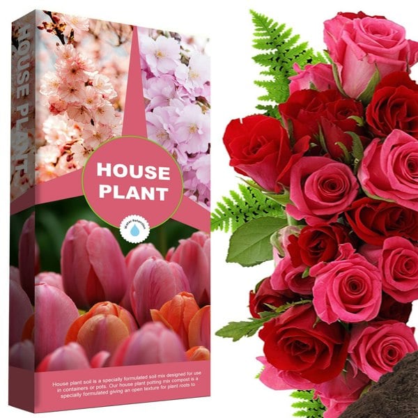 House Plant Compost 10 Litres Ideal For House Plants With Added Nutrients For Healthy Leaves & Plants