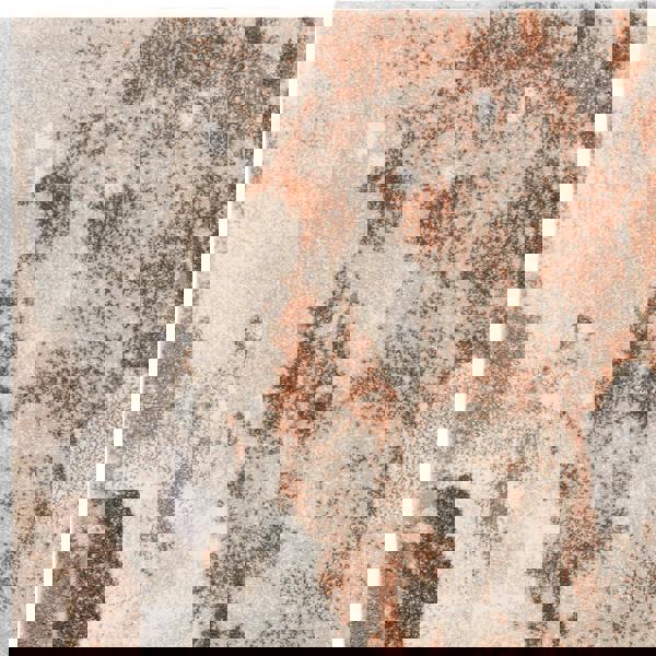 Asiatic Mirage Blur Terra Rug