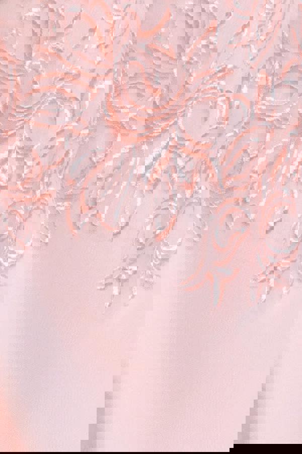 Lace Flutter Sleeve Embroidered Mesh A Line Maxi Dress - Pink DR3942