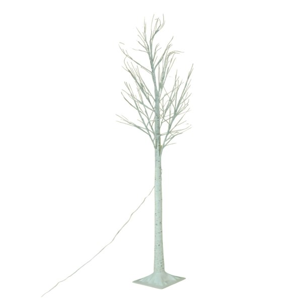 Samuel Alexander 1.5m Christmas Outdoor Birch Tree with 64 Multicoloured LEDs