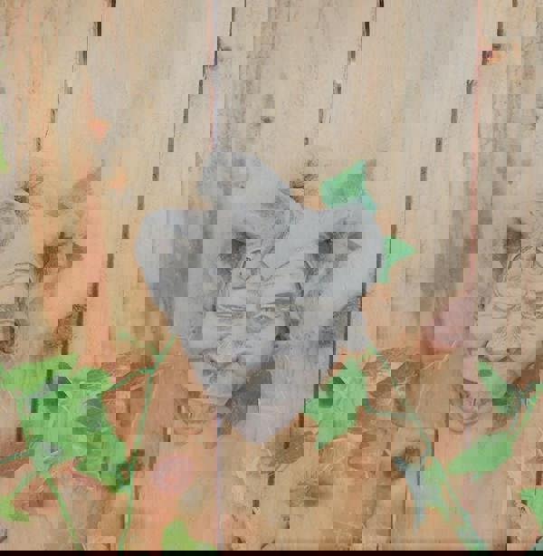 Jester Face Stone Wall Plaque