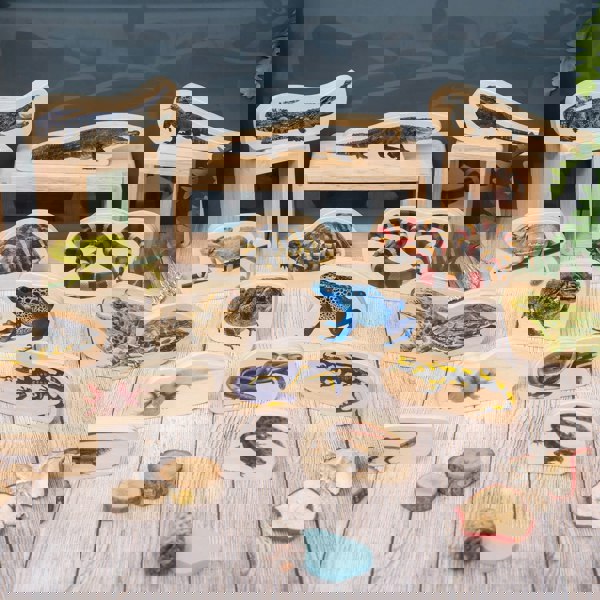 tickit Wooden Reptile & Amphibian Blocks