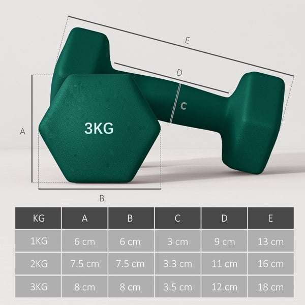 Dumbbell Set