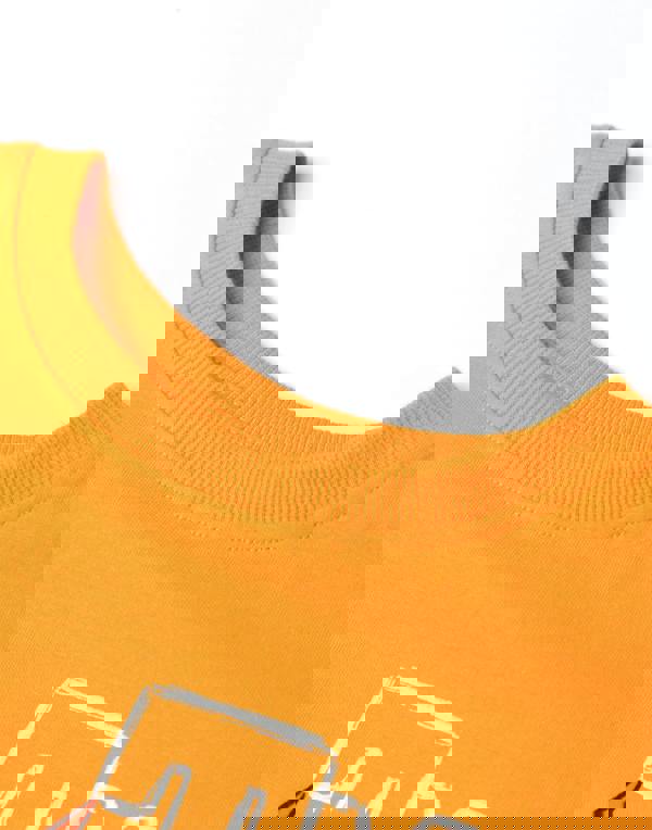 Teenage Mutant Ninja Turtles Boys Orange Mikey Short Sleeved T-Shirt