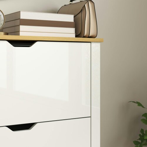 Wyld Haus Dorane Lake High Gloss White Slim Shoe Cabinet With 3 Flip Drawers