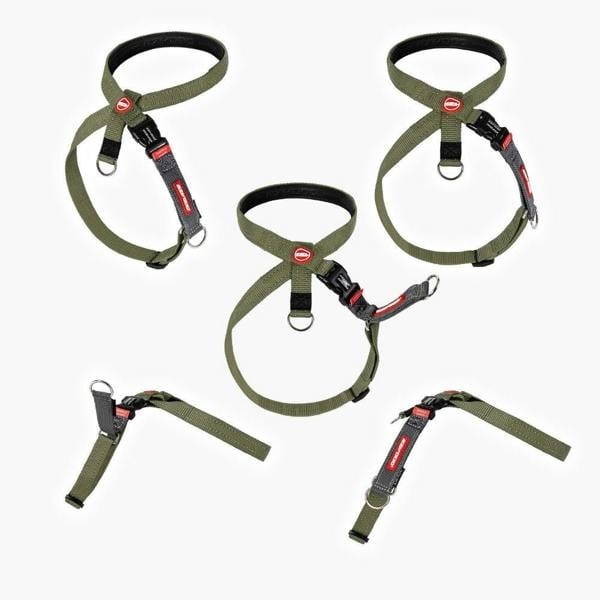 EzyDog Crosscheck Dog Harness in Green
