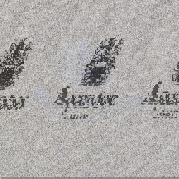 Aquascutum ACTIVE SMALL LOGO HOODIE FW23 SW002 05 Grey Hoodie Mens XXL