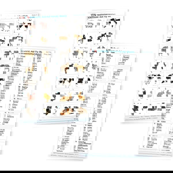 tickit Domestic Animal Family Match