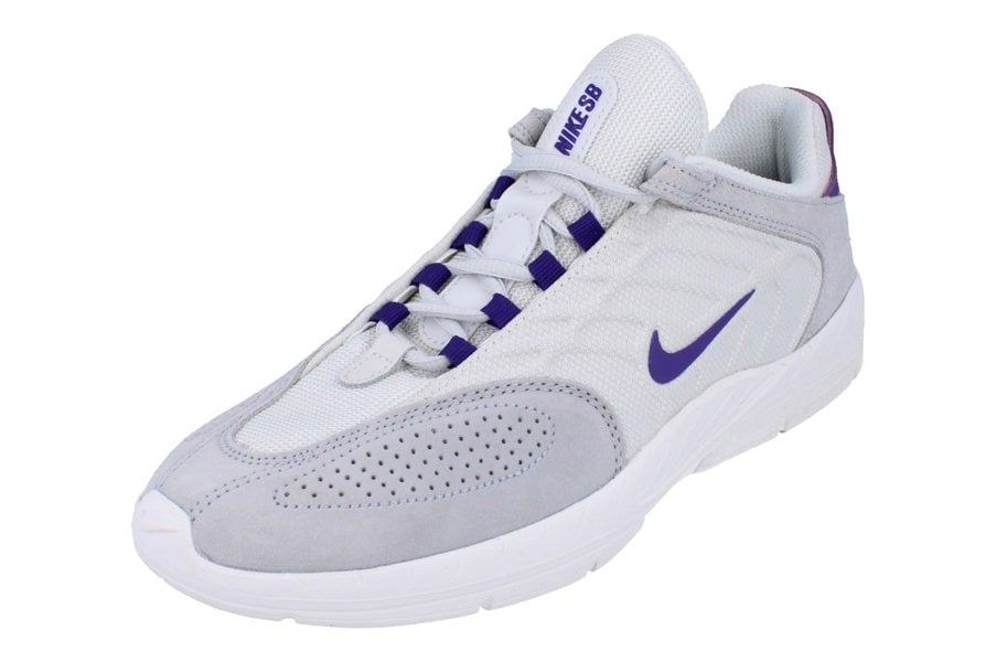 Nike Sb Vertebrae Mens Trainers Fd4691  006 - Platinum Tint 006 - Photo 0