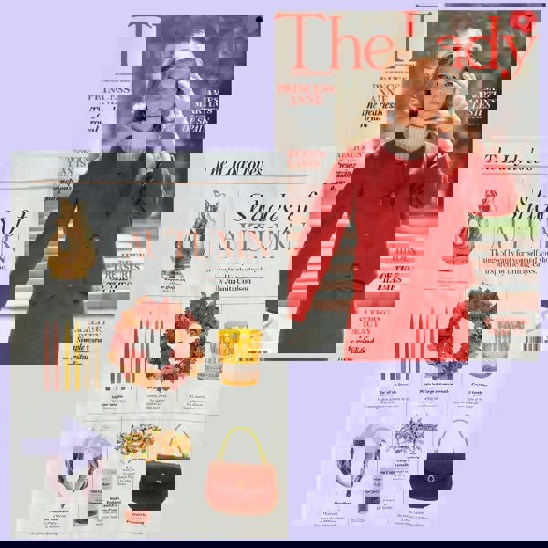 crystal hair clip large rose the lady magazine