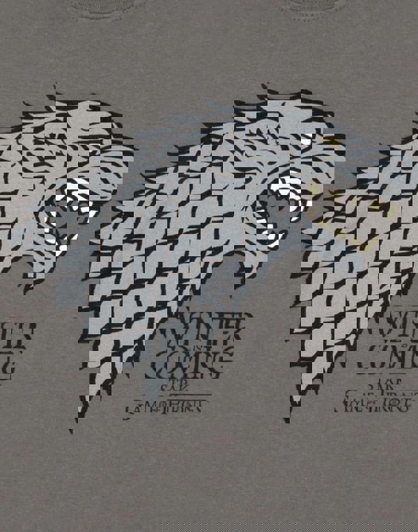 Game of Thrones Womens Grey Short Sleeved T-Shirt