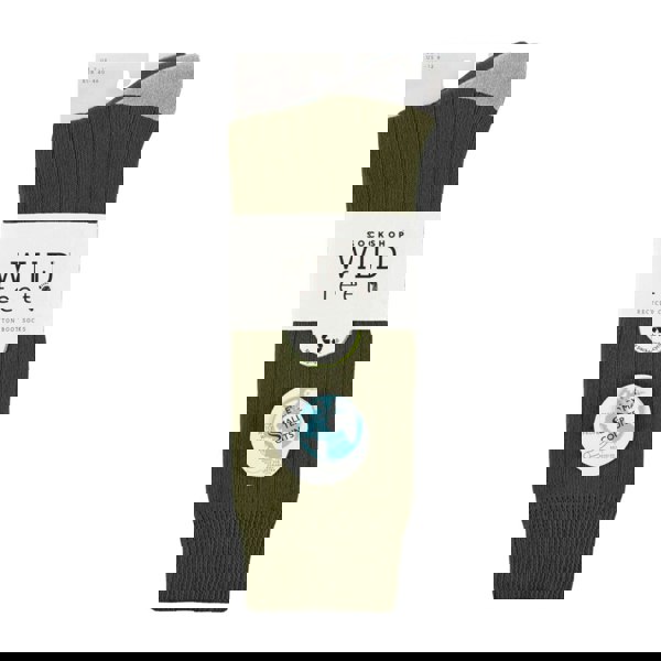 t4option1_2