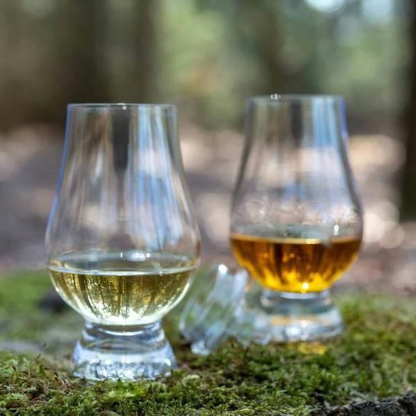 A set of two premium tulip-shaped whisky glasses filled with golden spirits, resting on a bed of green forest moss.