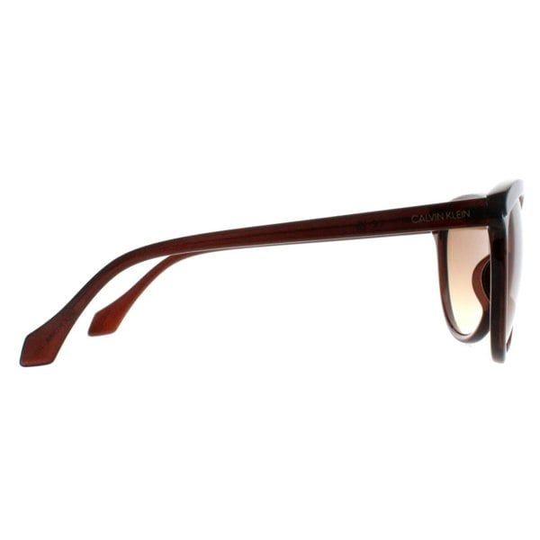 Calvin Klein Sunglasses CK19534S 210 Crystal Brown Brown Gradient