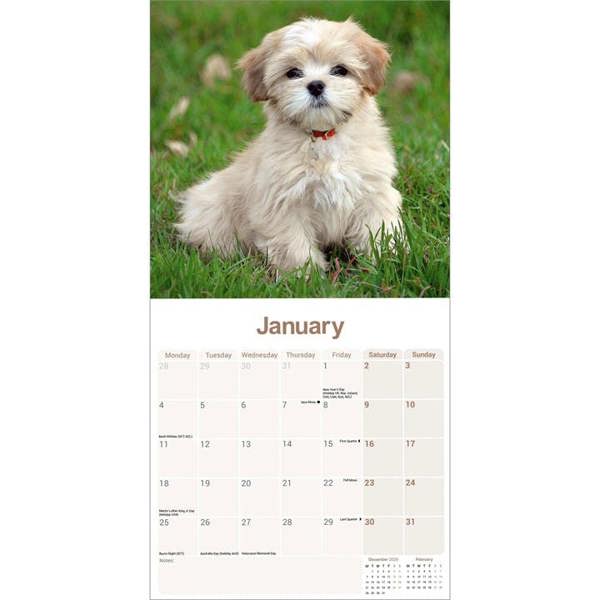 Lhasa Apso Calendar 2027, Wall Calendars, Month To View, Dogs, Gift