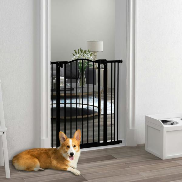 Pet Gate