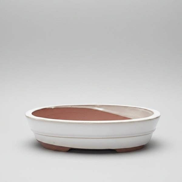 26cm Glazed Bonsai Pot | Oval | 26cm x 20cm x 6cm | White - Yorkshire Bonsai