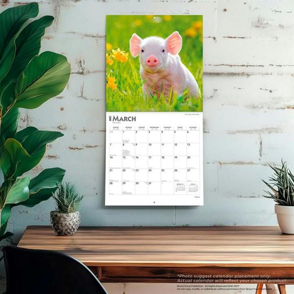 Piglets Calendar 2027, Wall Calendars, Month To View, Animals, Gift