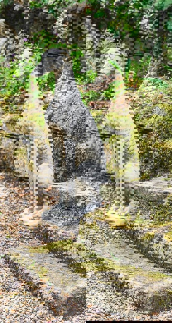 Single Large Sitting Greyhound Statue