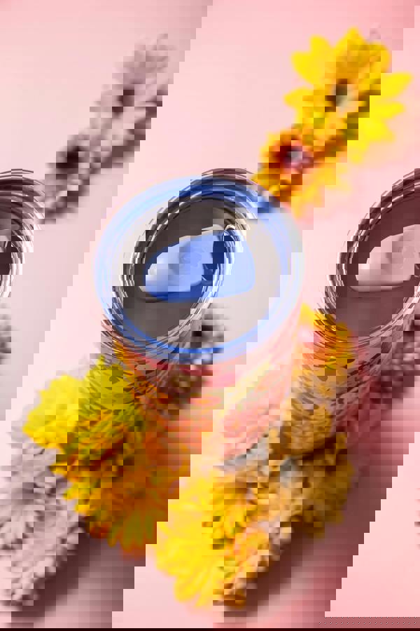 S'well Steffi Lynn Floral Tumbler with Lid and Straw, Insulated Flask 700ml