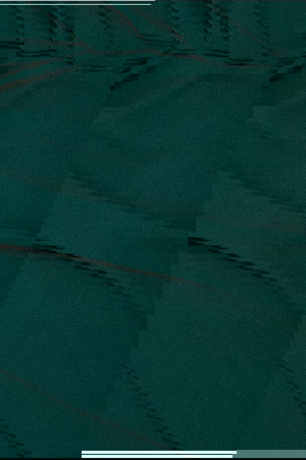 Bardot Pleated Maxi Dress - Emerald Green DR1092SCPLUS