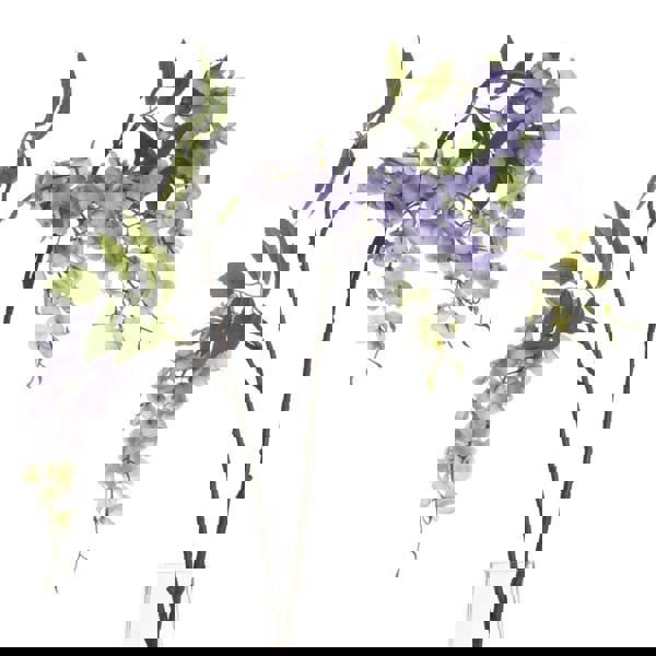 Hill Interiors Artificial Wisteria Plant - Lilac - 