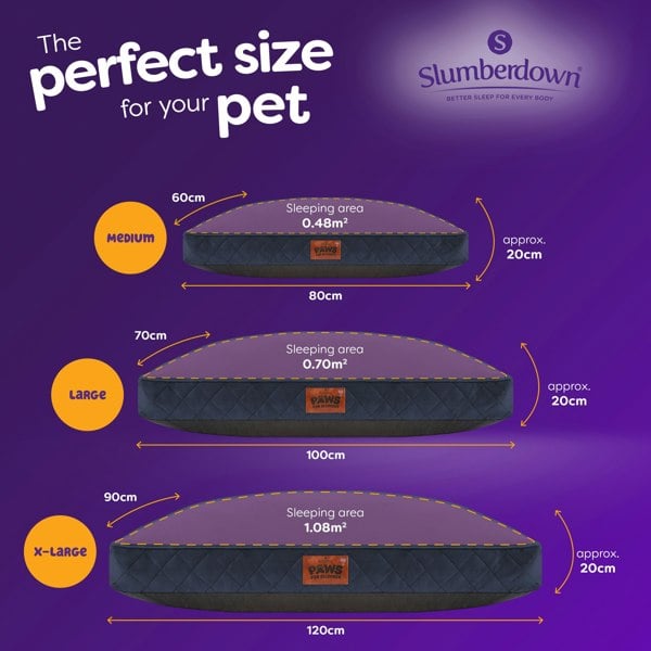 Paws for Slumber Padded Pet Bed, Blue, Extra Large