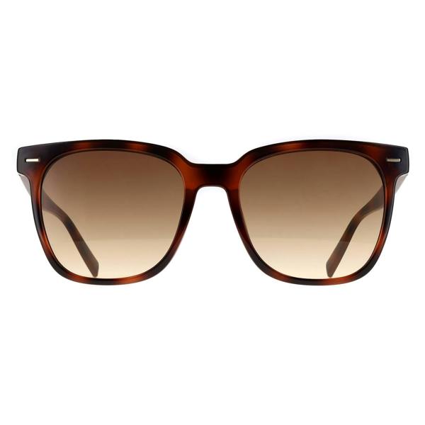 Calvin Klein Sunglasses CK20519SN 235 Havana Brown Gradient
