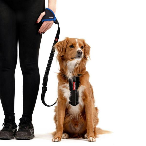 EzyDog Zero-Shock Handy Dog Lead