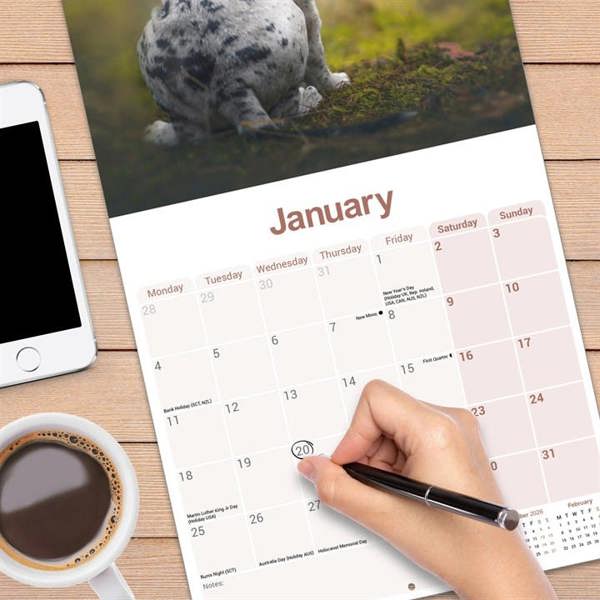 Great Dane Calendar 2027, Wall Calendars, Month To View, Dogs, Gift