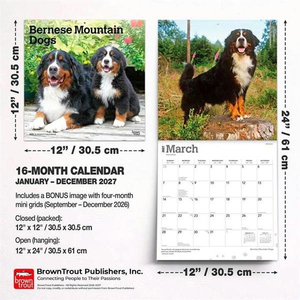 Bernese Mountain Dogs Calendar 2027, Wall Calendars, Month To View, Dogs, Gift