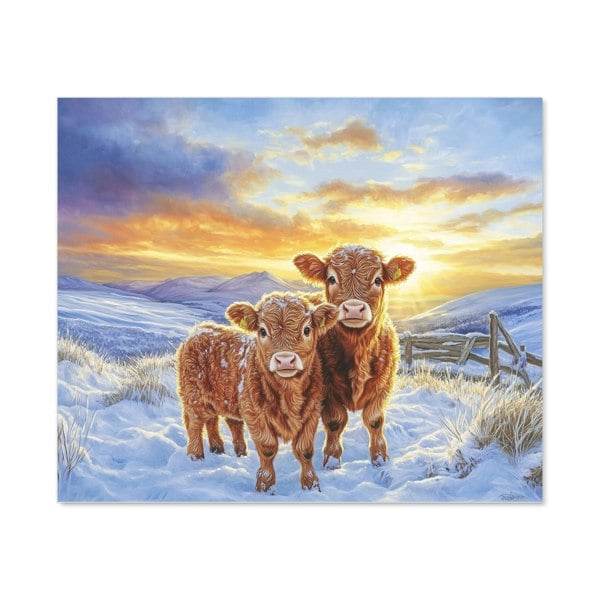 Warren Reed - Designer Snowy Baby Highland Cows Kitchen Splashback