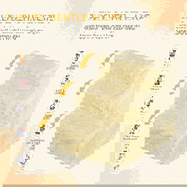 D06-091V01BG