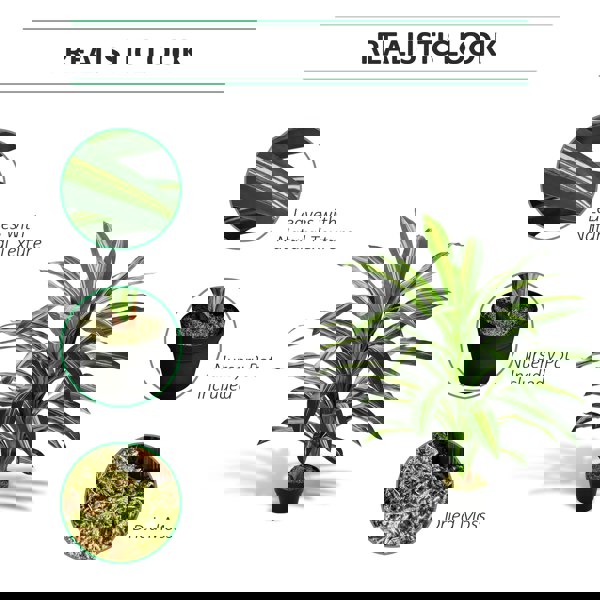 Artificial Plants