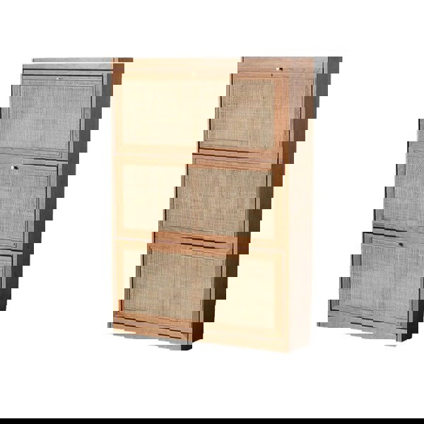 H14 Dex Rattan Shoe Storage With Drawer-Rit Concept-Rit Concept