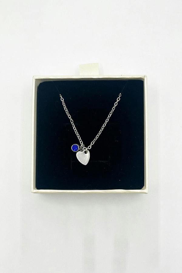 SVNX Mini Heart & Janurary Birthstone Necklace in Silver - Gift Boxed