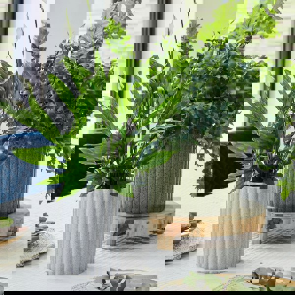 #color_grey