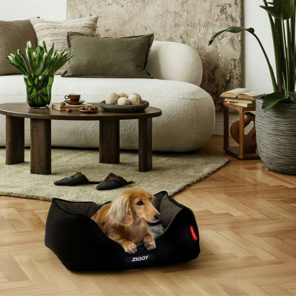 EzyDog Smart Orthopaedic 2 in 1 Design Dog Bed