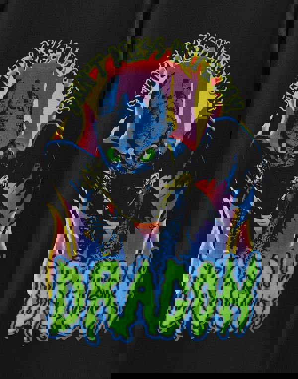 How to Train Your Dragon Unisex Black Don't mess with my Dragon Short Sleeved T-Shirt