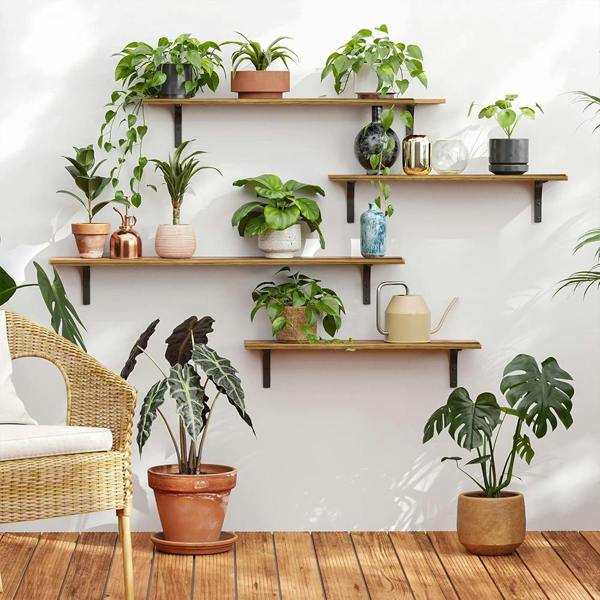 Havendro 5Pcs Rustic Wooden Floating Shelves Wall Mounted Storage Display Shelves