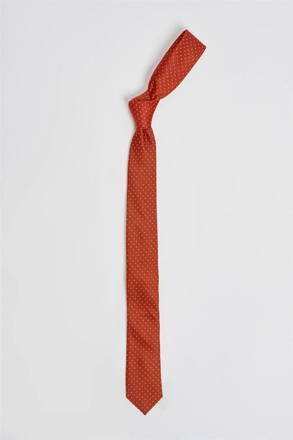 House of Cavani Boys Polka Dot Tie Set