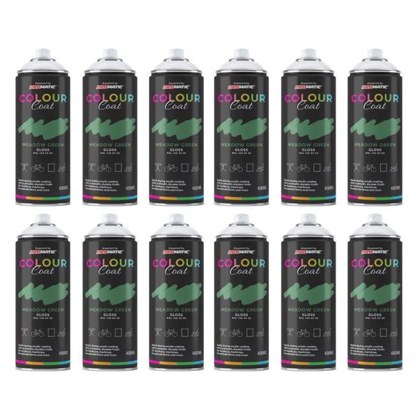 Colour Coat 12X Meadow Green RAL 140 50 50 Gloss Spray Paint 400ml