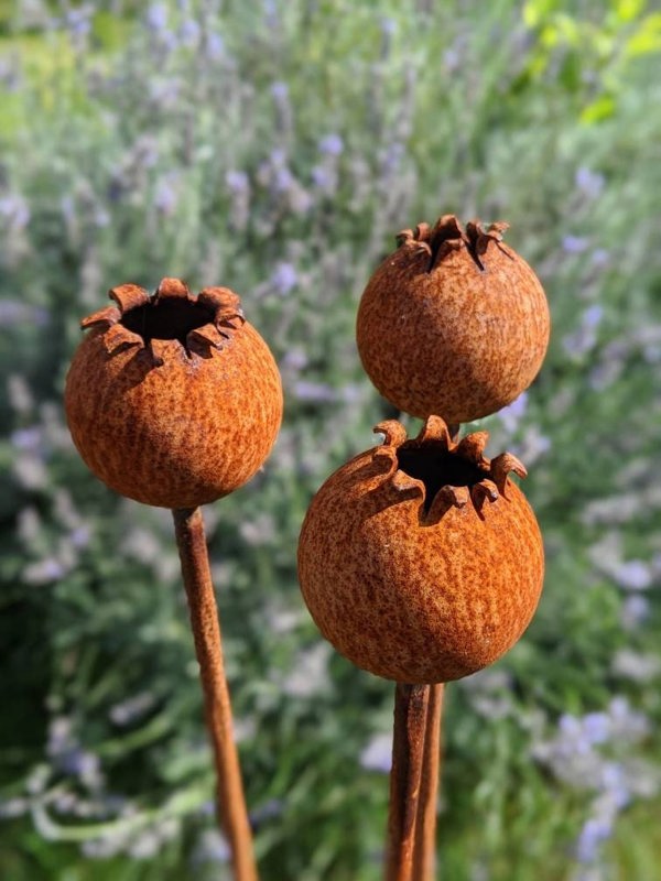 Savage Works Rusty Metal Poppy Seedhead - Metal Garden Flower Sculpture - Garden Decor